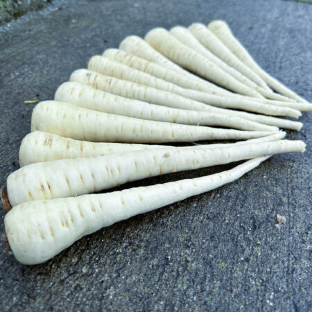 Parsnip - Viper F1