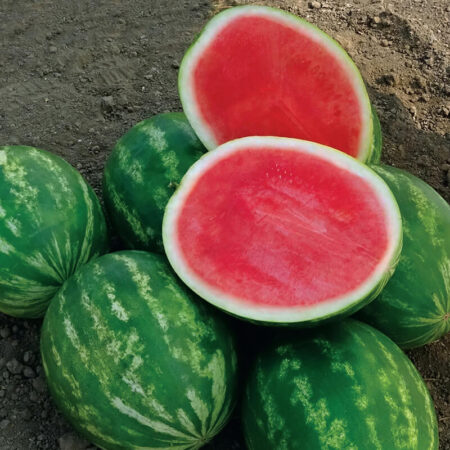 Watermelon - Powerhouse F1